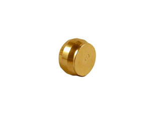 Wosherworld Brass Blanking Plug 3/4Inch BLAN010